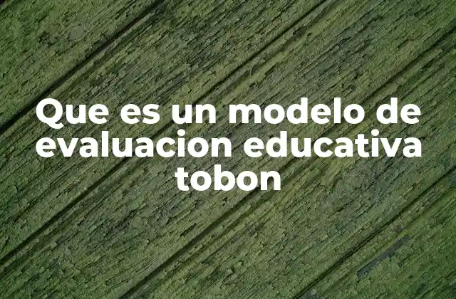 Que es un Modelo de Evaluacion Educativa Tobon