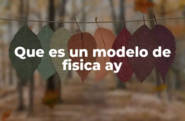 Que es un Modelo de Fisica Ay