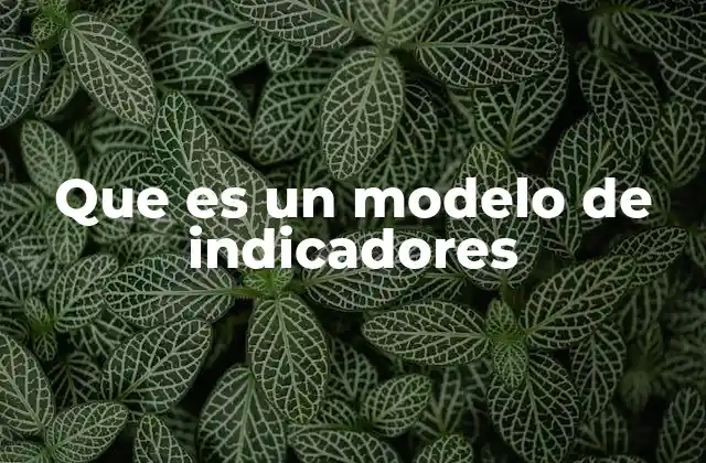 Que es un Modelo de Indicadores