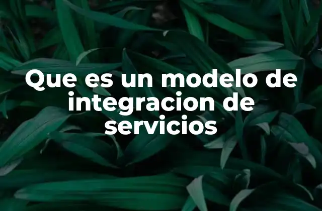 Que es un Modelo de Integracion de Servicios