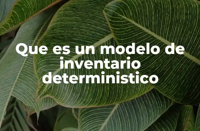 Que es un Modelo de Inventario Deterministico
