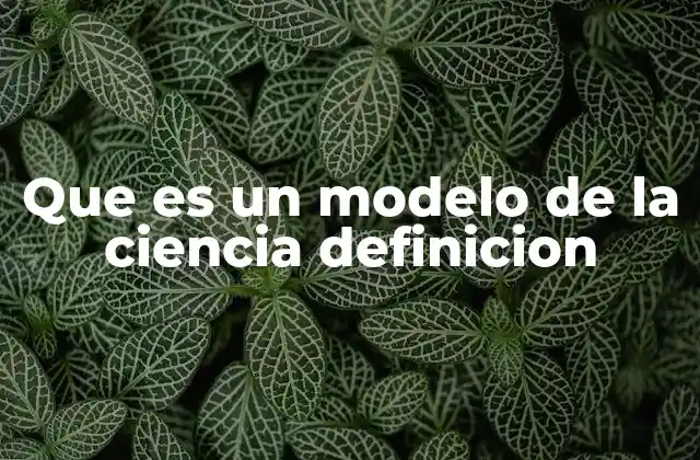 Que es un Modelo de la Ciencia Definicion