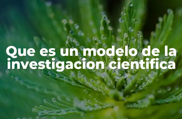 Que es un Modelo de la Investigacion Cientifica
