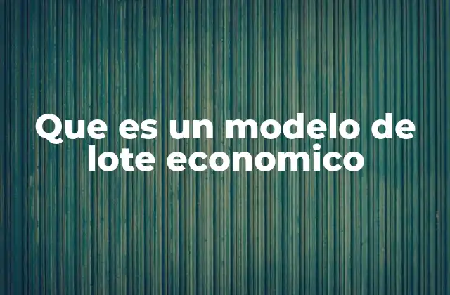 Que es un Modelo de Lote Economico