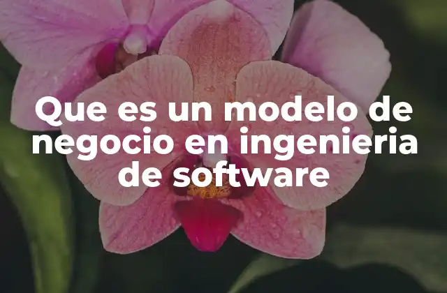 Que es un Modelo de Negocio en Ingenieria de Software