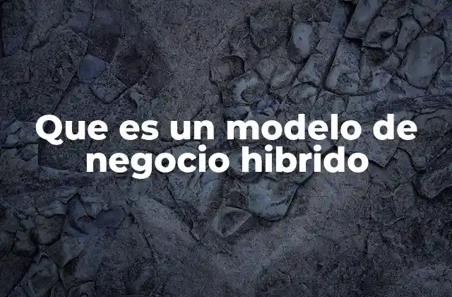 Que es un Modelo de Negocio Hibrido