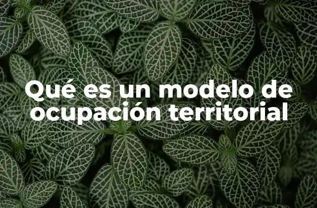 Qué es un Modelo de Ocupación Territorial