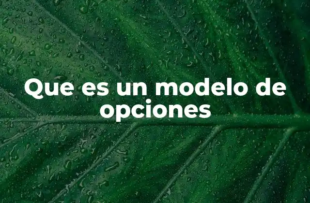 Que es un Modelo de Opciones 2 Modelos financieros y su relación con las opciones