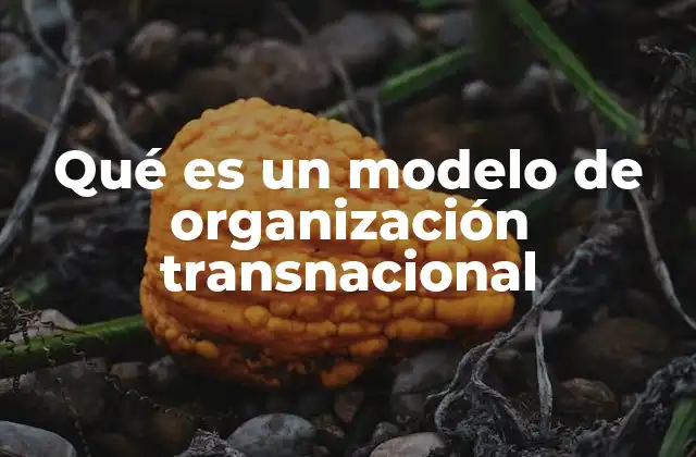 Qué es un Modelo de Organización Transnacional 2 La evolución de las estructuras empresariales globales