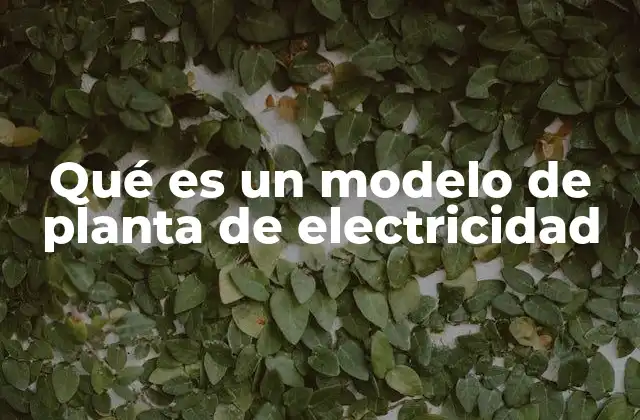 Qué es un Modelo de Planta de Electricidad