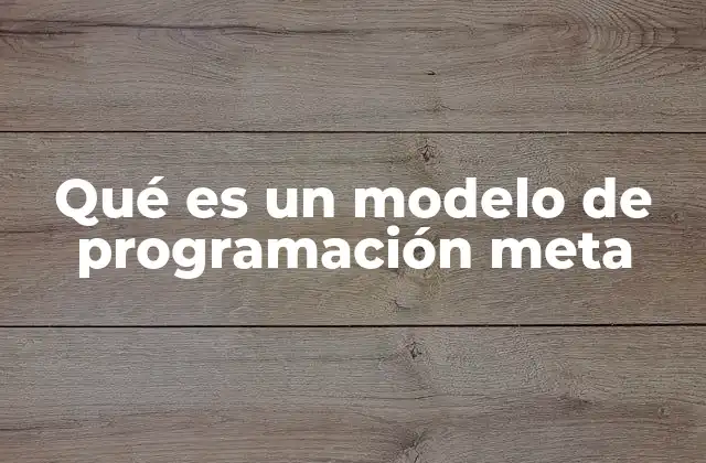 Qué es un Modelo de Programación Meta