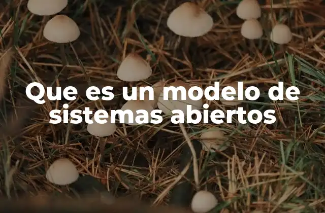 Que es un Modelo de Sistemas Abiertos