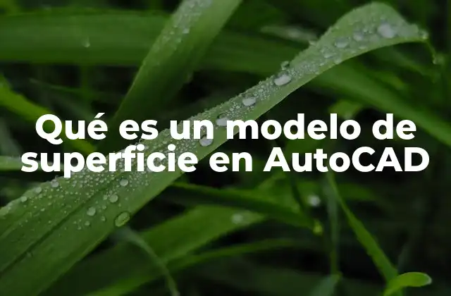Qué es un Modelo de Superficie en Autocad