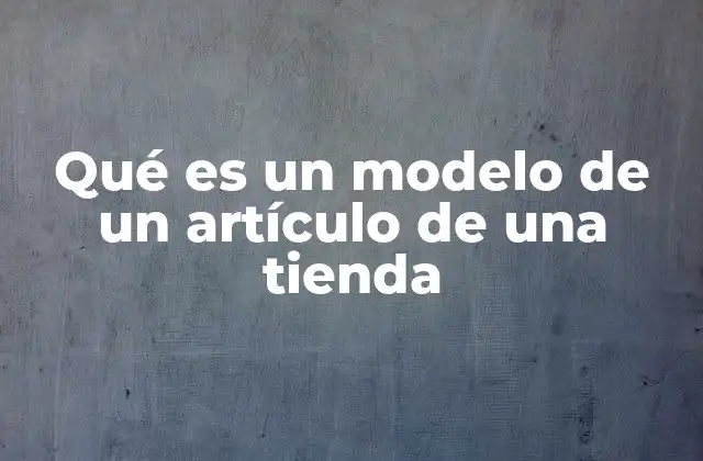 Qué es un Modelo de un Artículo de una Tienda 2 La importancia de los modelos en la gestión de inventario