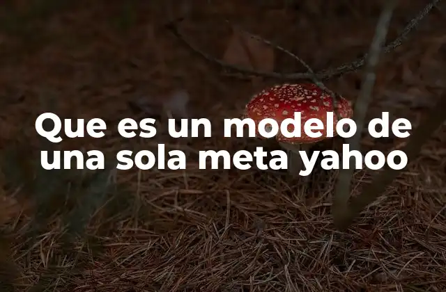 Que es un Modelo de una Sola Meta Yahoo