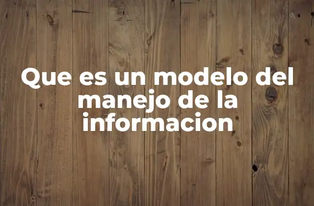 Que es un Modelo Del Manejo de la Informacion