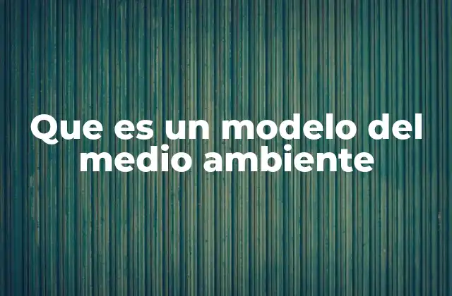 Que es un Modelo Del Medio Ambiente