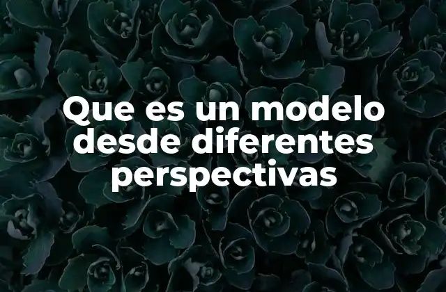 Que es un Modelo desde Diferentes Perspectivas