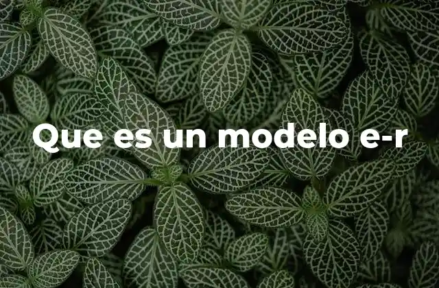 Que es un Modelo E-r