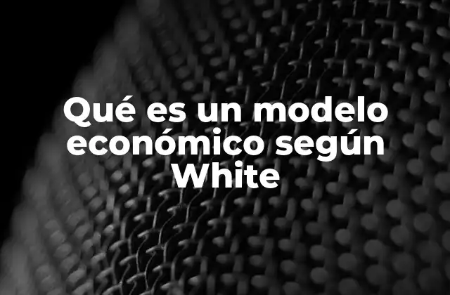 Qué es un Modelo Económico según White