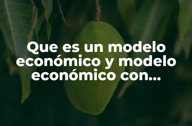Que es un Modelo Económico y Modelo Económico con Ejemplos