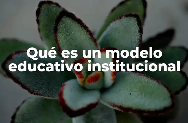 Qué es un Modelo Educativo Institucional