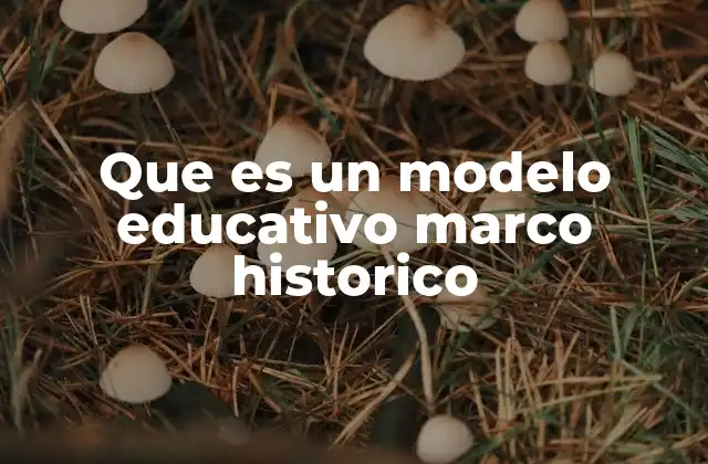 Que es un Modelo Educativo Marco Historico