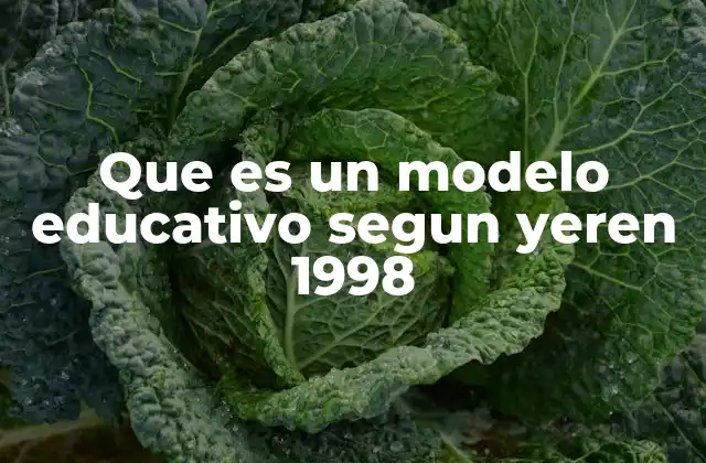 Que es un Modelo Educativo Segun Yeren 1998
