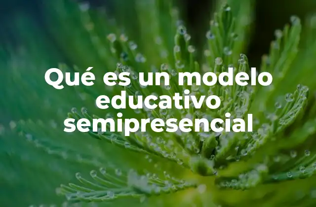Qué es un Modelo Educativo Semipresencial