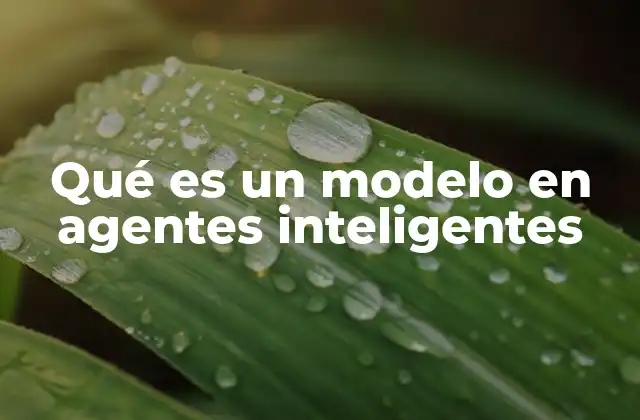 Qué es un Modelo en Agentes Inteligentes