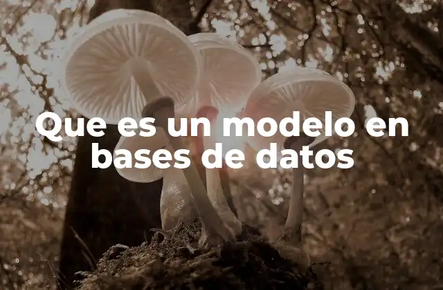 Que es un Modelo en Bases de Datos