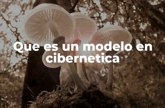 Que es un Modelo en Cibernetica