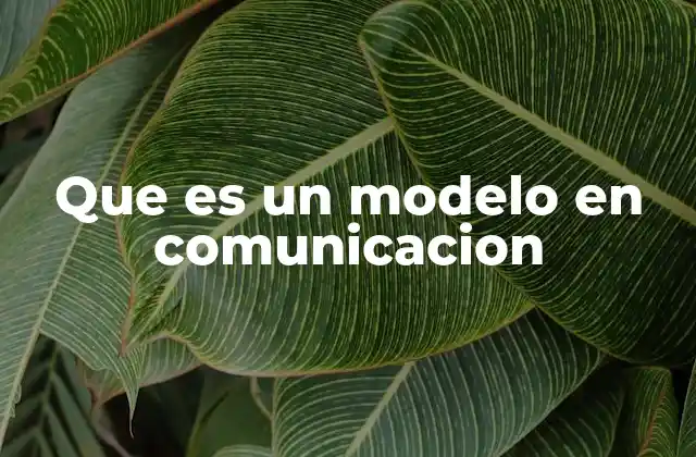 Que es un Modelo en Comunicacion