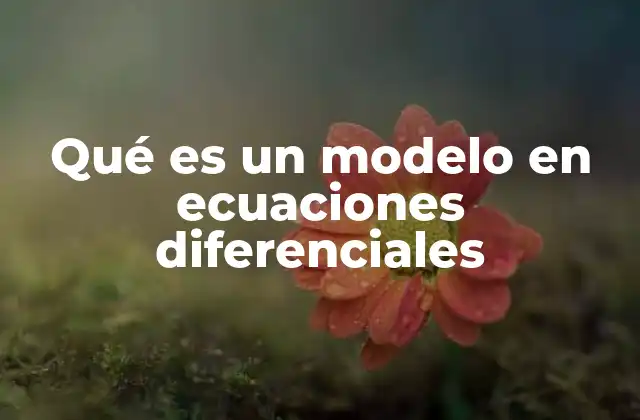 Qué es un Modelo en Ecuaciones Diferenciales