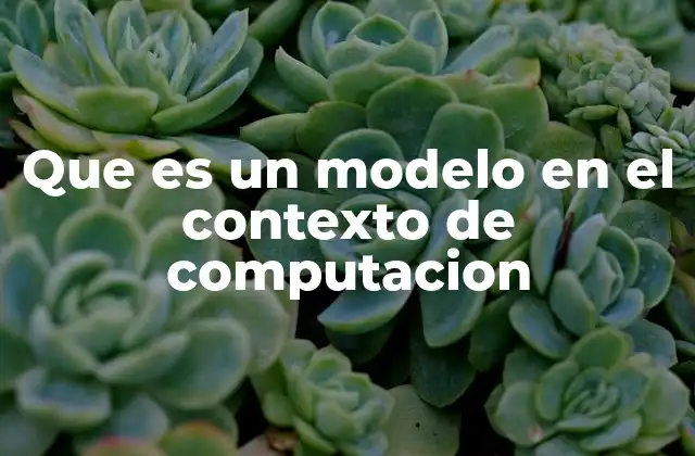Que es un Modelo en el Contexto de Computacion