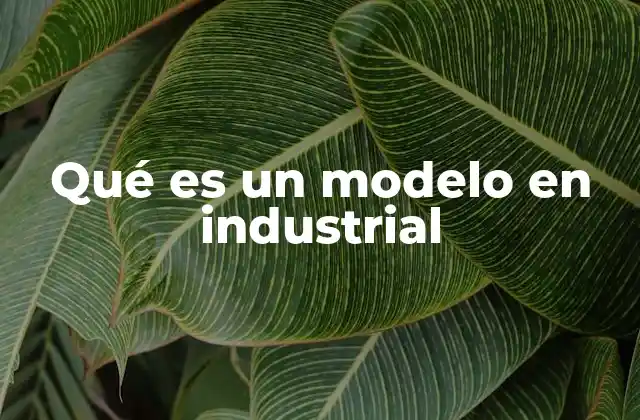 Qué es un Modelo en Industrial