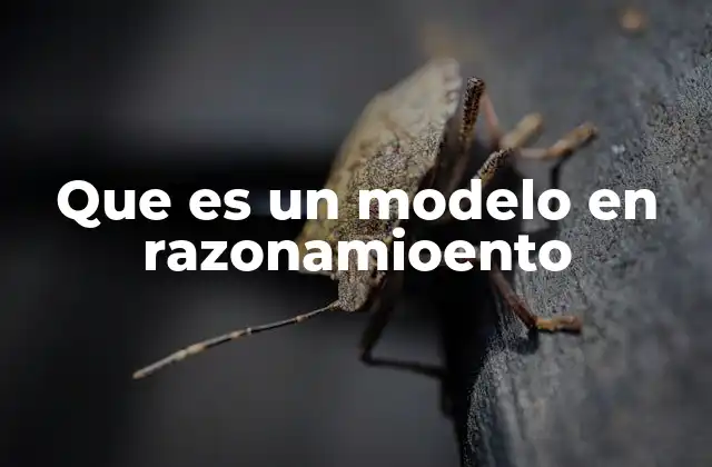 Que es un Modelo en Razonamioento