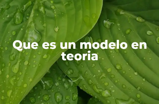 La importancia de los modelos teóricos en la construcción del conocimiento