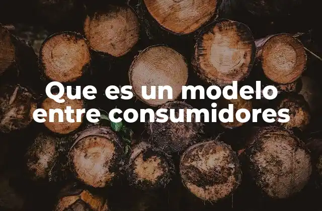 Que es un Modelo entre Consumidores