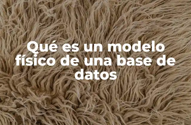 Qué es un Modelo Físico de una Base de Datos