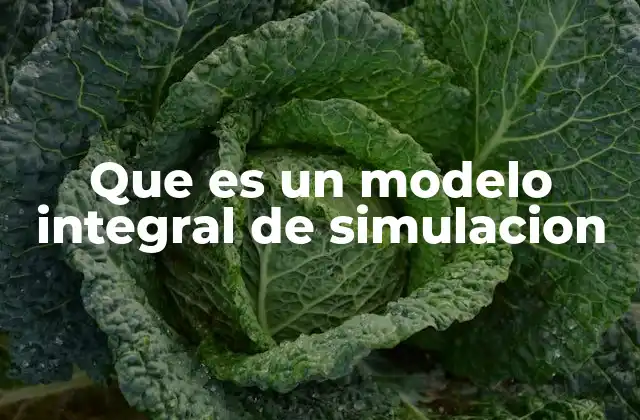 Que es un Modelo Integral de Simulacion