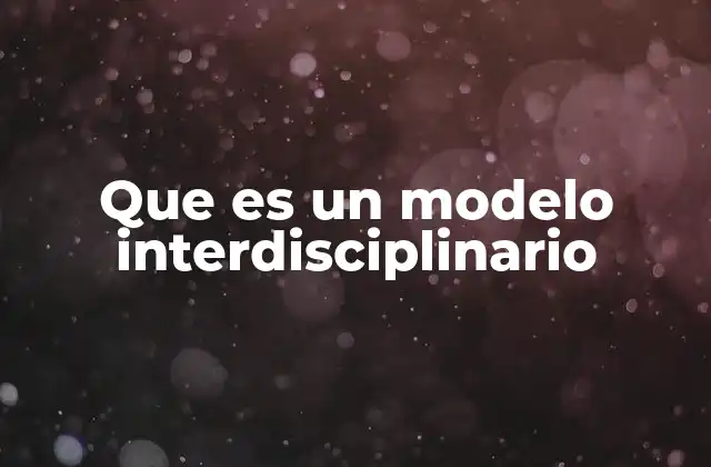 Que es un Modelo Interdisciplinario