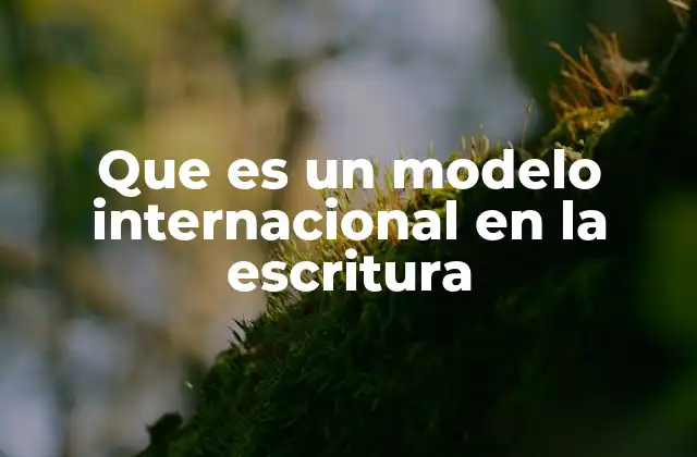 Que es un Modelo Internacional en la Escritura