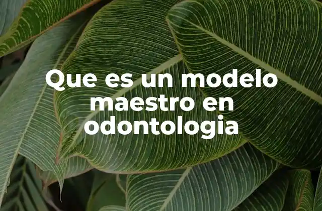 Que es un Modelo Maestro en Odontologia