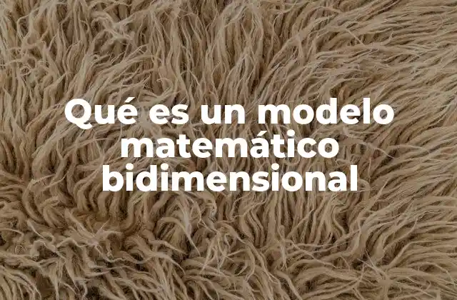 Qué es un Modelo Matemático Bidimensional 2 Aplicaciones de los modelos en sistemas planos
