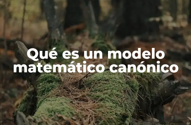 Qué es un Modelo Matemático Canónico