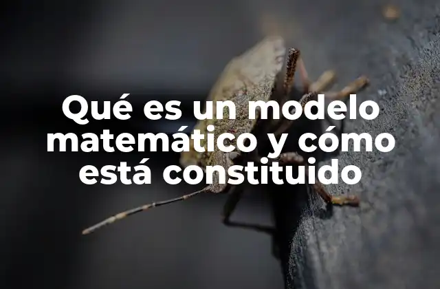 Qué es un Modelo Matemático y Cómo Está Constituido
