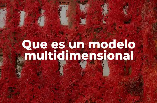 Que es un Modelo Multidimensional