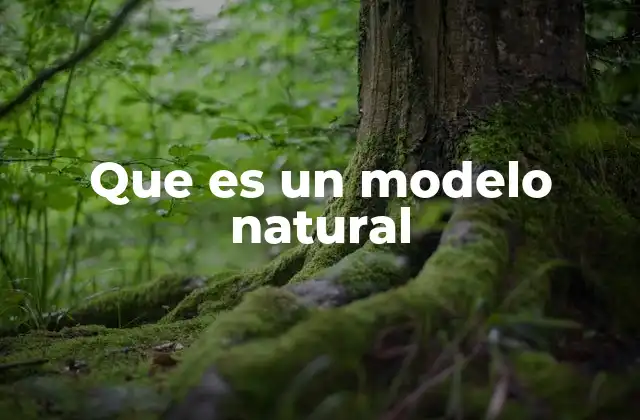 Que es un Modelo Natural