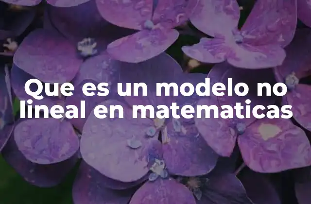 Que es un Modelo No Lineal en Matematicas